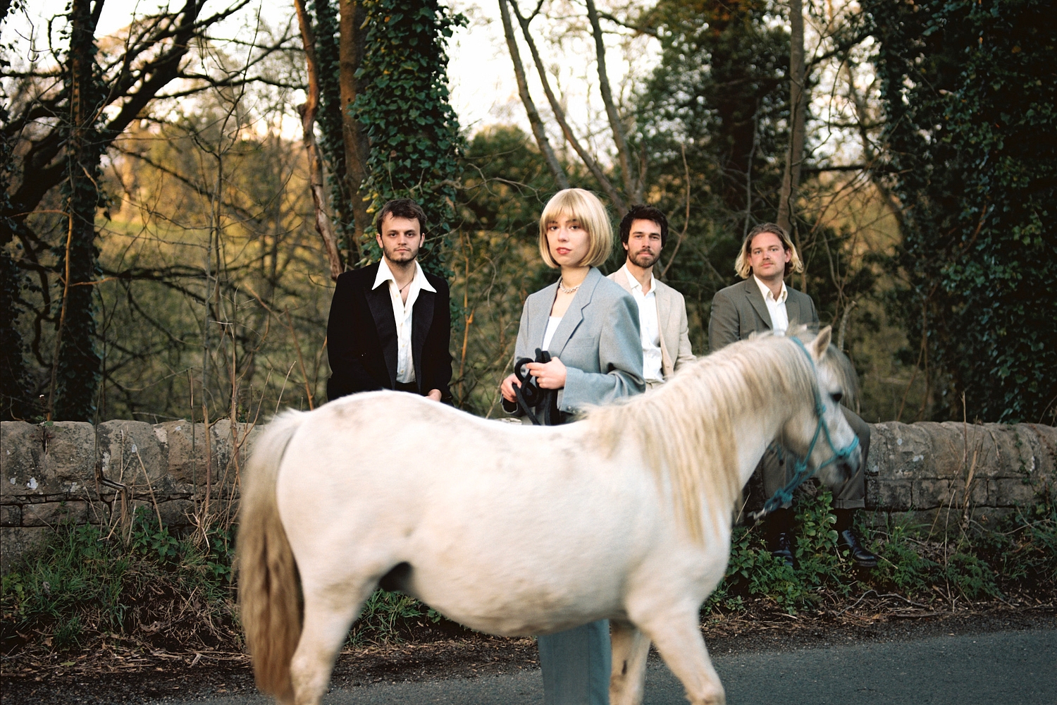 The Neu Bulletin (Divorce, Panic Shack, Daisy Brain and more!)