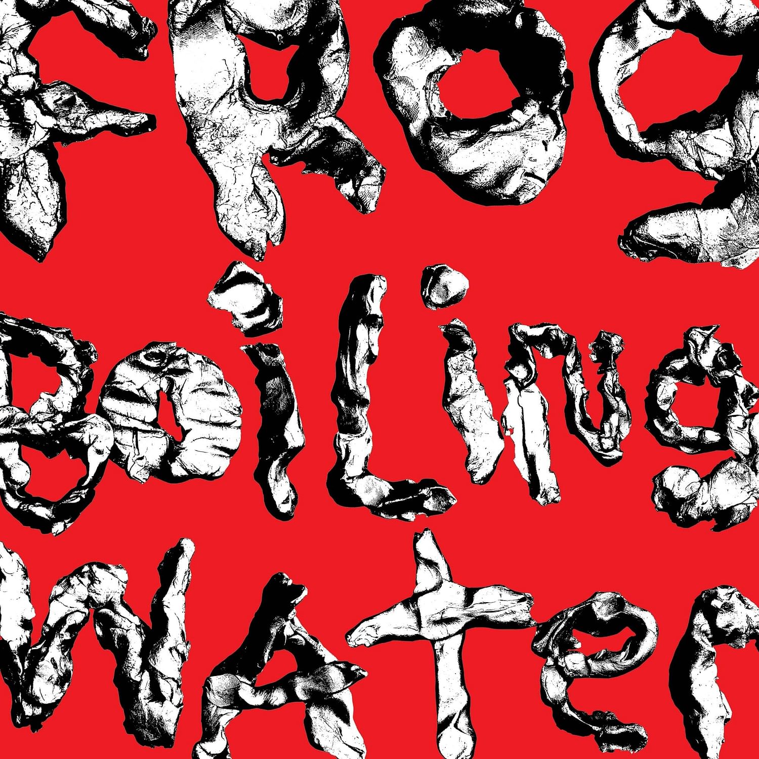 DIIV - Frog in Boiling Water