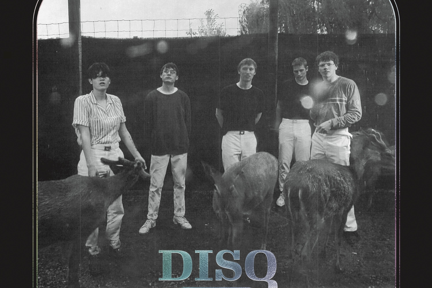 Disq - Collector