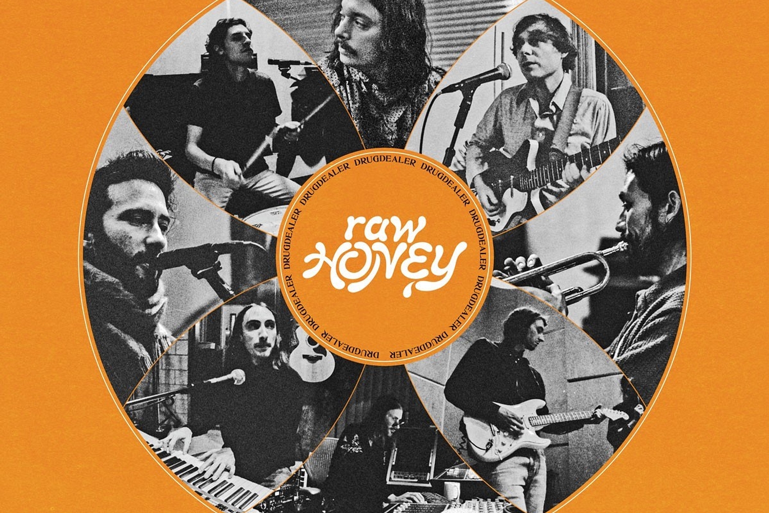 Drugdealer - Raw Honey