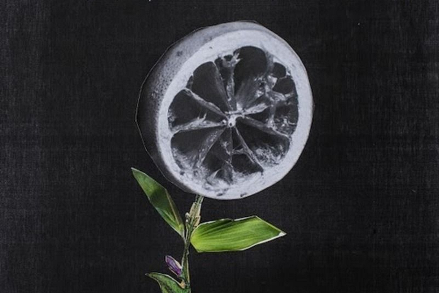 The Districts - A Flourish and a Spoil