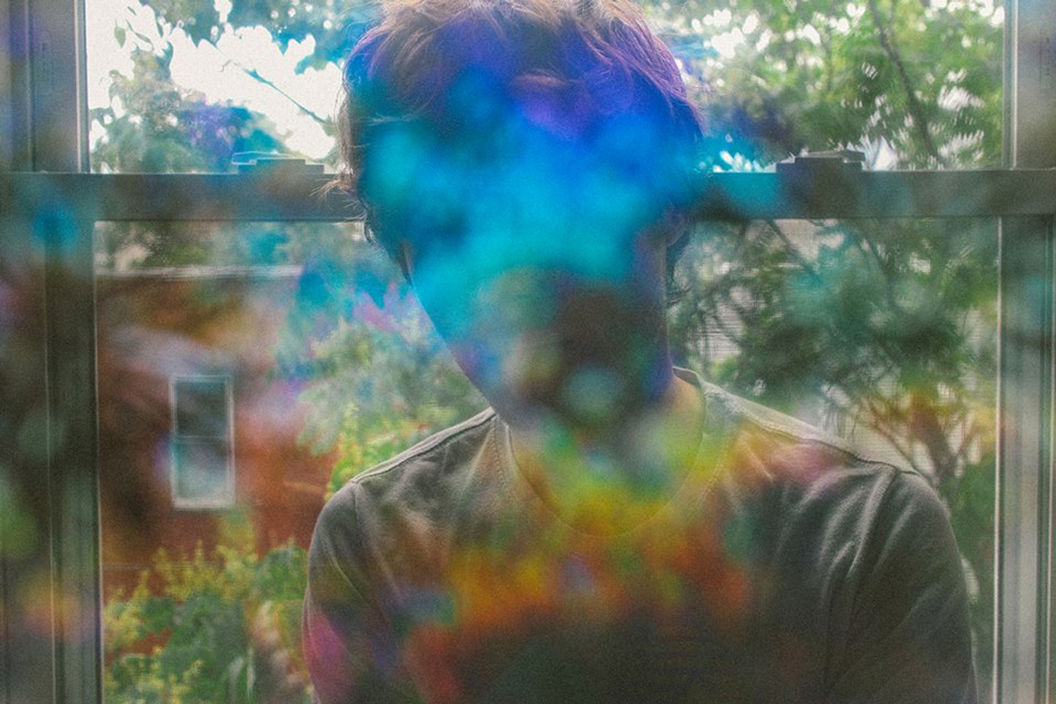 Foxes in Fiction - Shadow’s Song