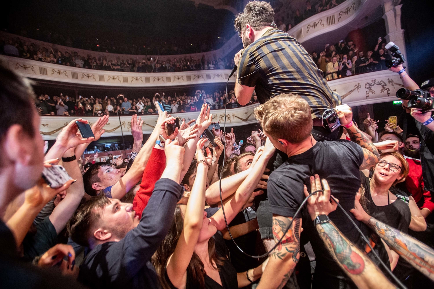 Saddle Up: Foals