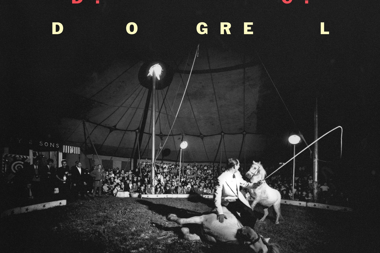 Fontaines DC - Dogrel