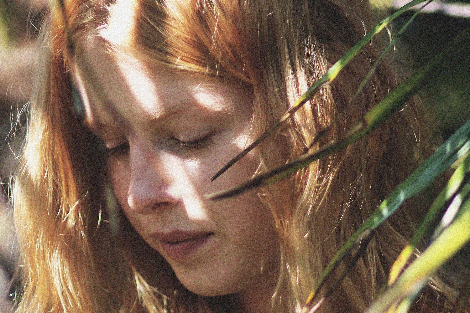 Fenne Lily takes it slow with ‘Bud’