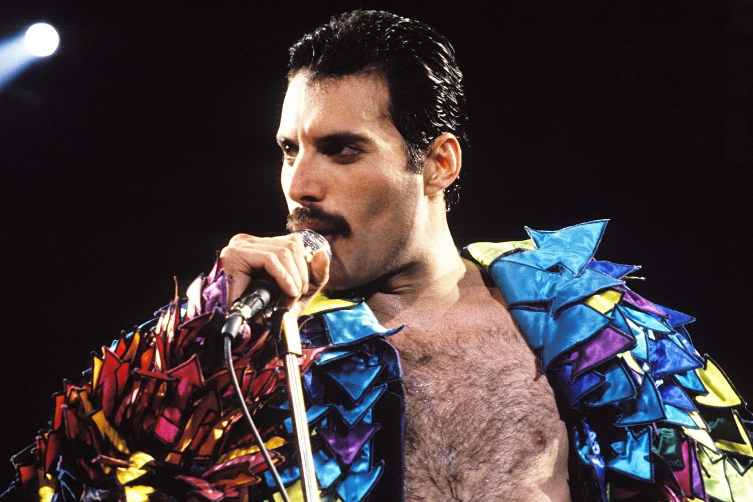 Freddie Mercury biopic gets the green light