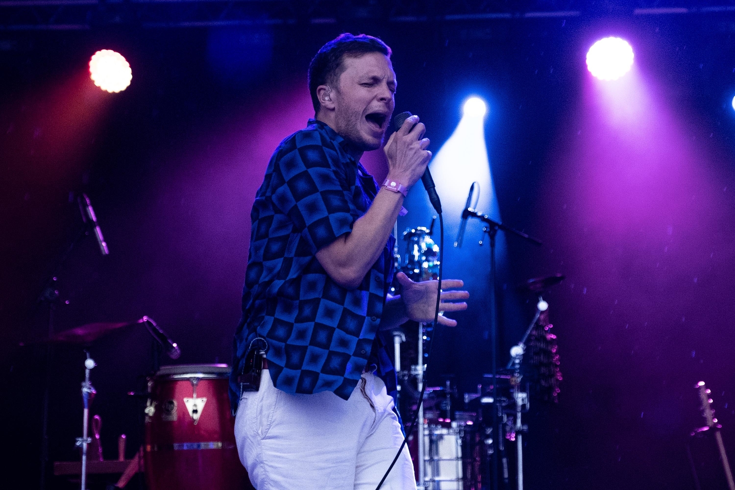 Standon Calling 2019