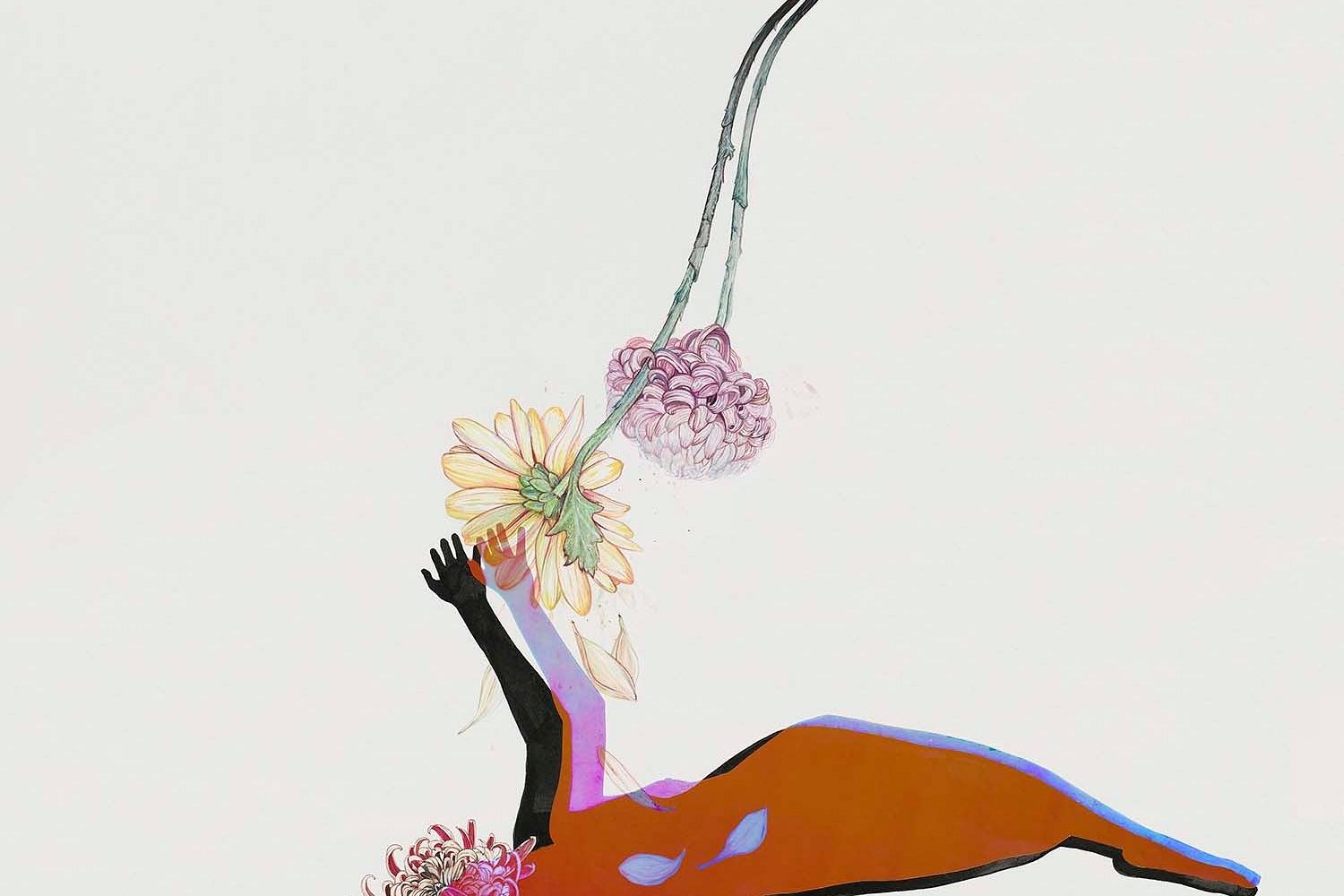 Future Islands - The Far Field