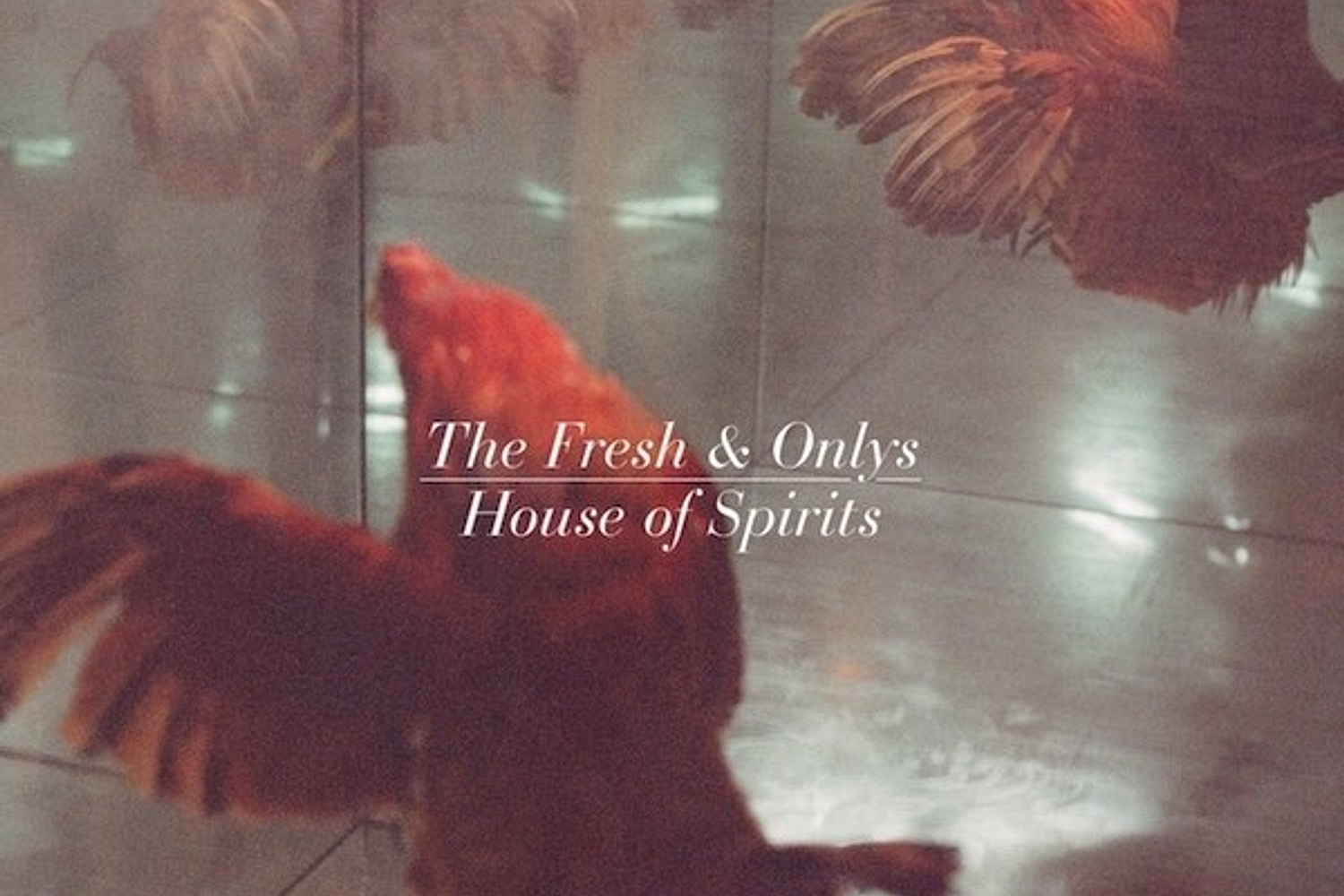 The Fresh & Onlys - House of Spirits