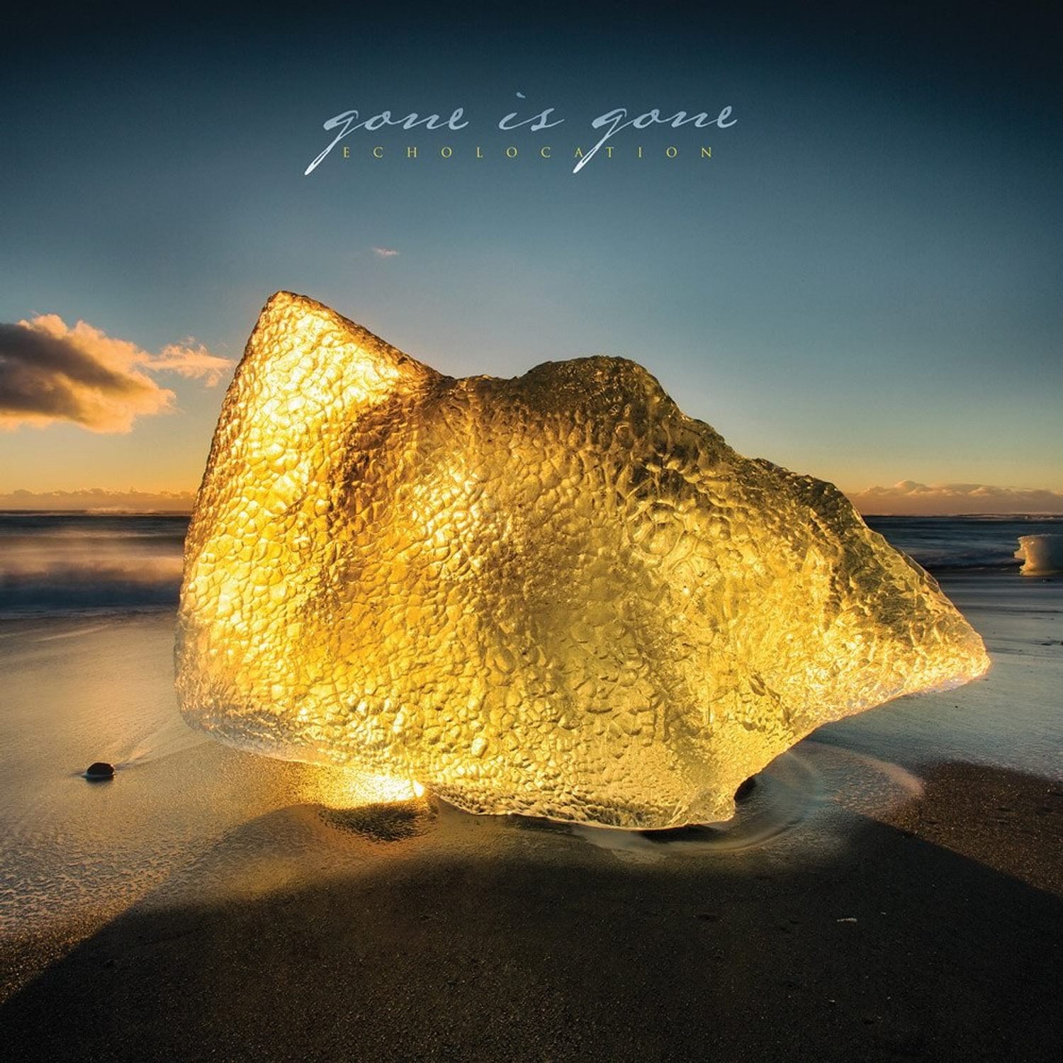 Gone is Gone - Echolocation