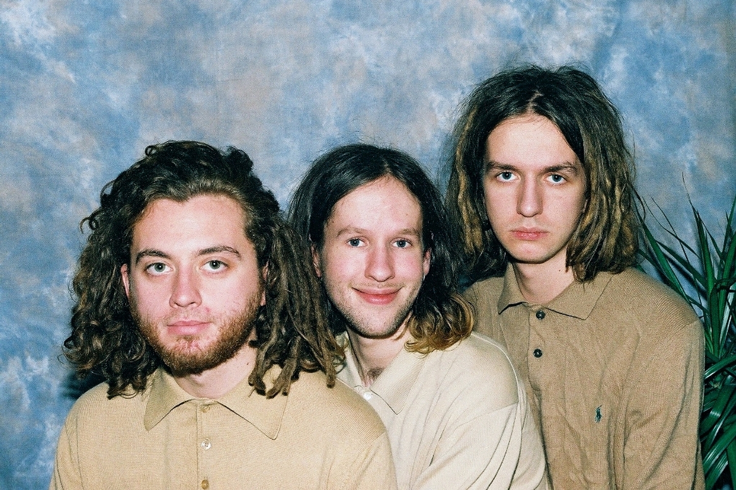 GANG punch through psychedelia with their new ‘Animalia’ single