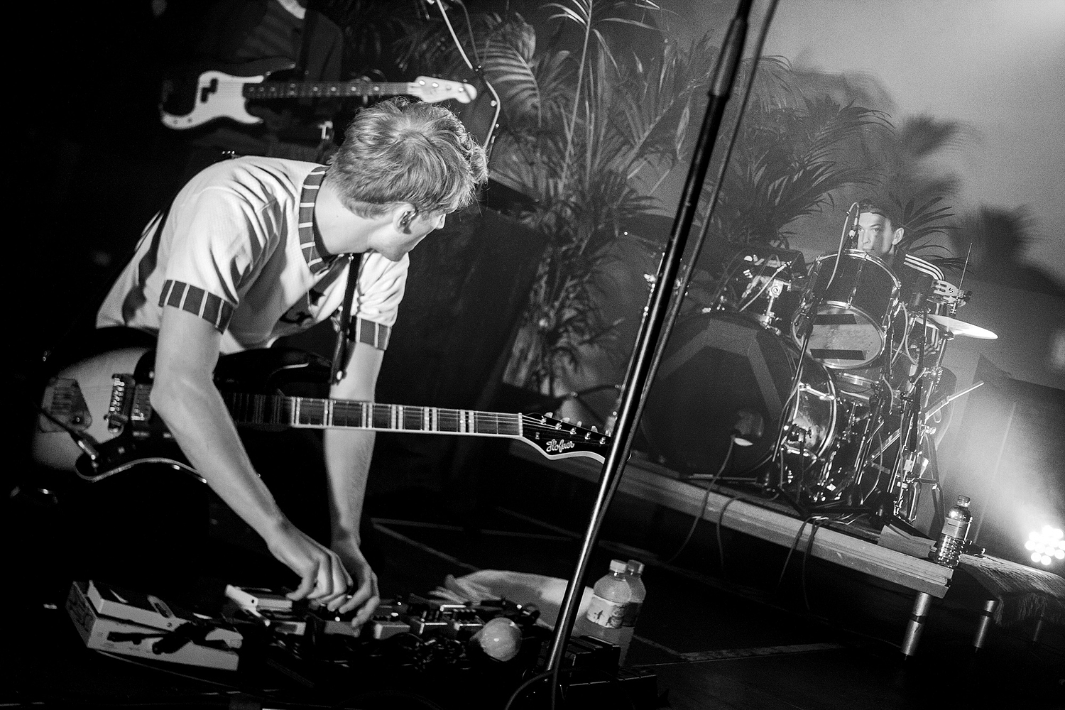 Palm trees, naked fans and sold out shows: Glass Animals’ peanut butter tribe