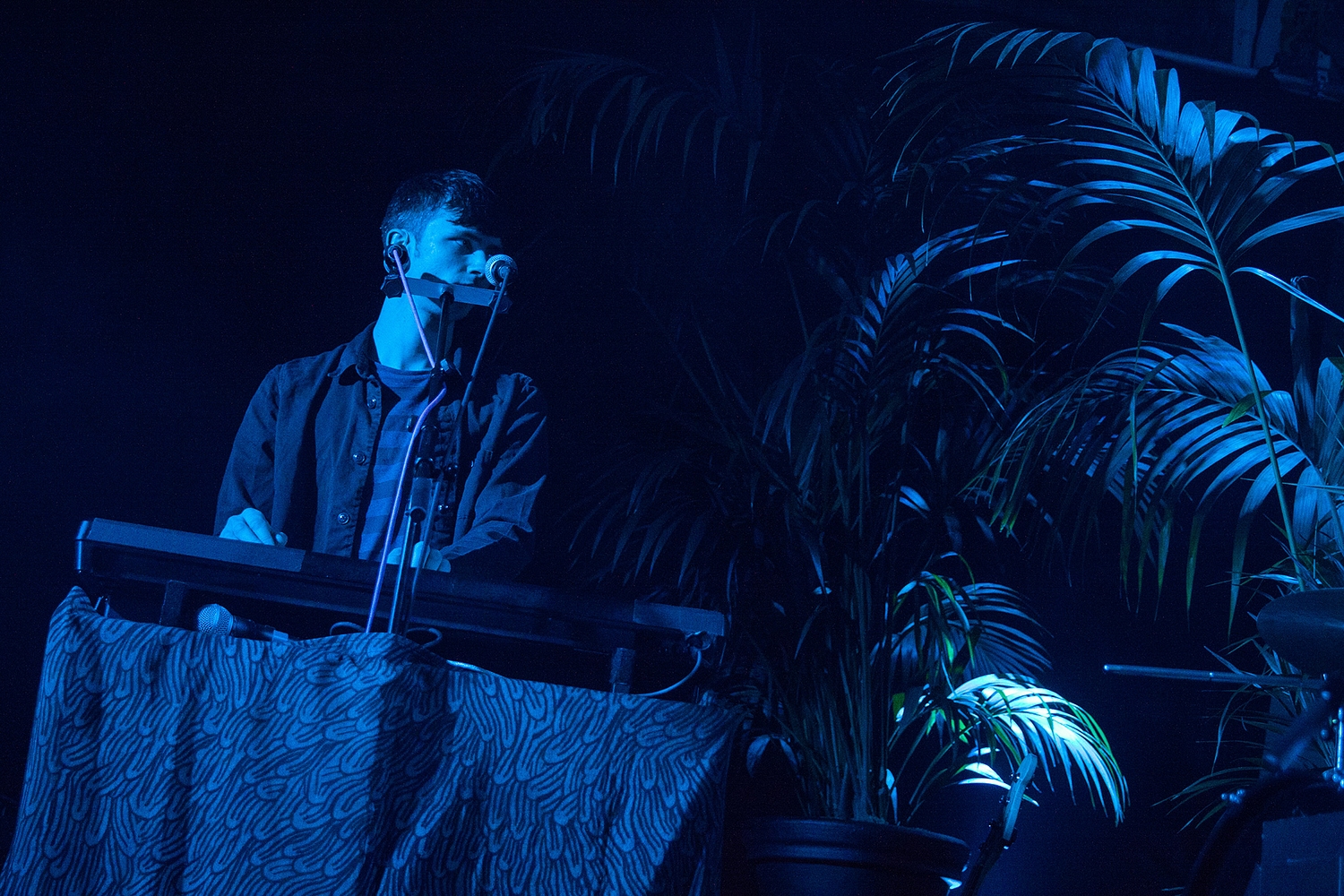 Palm trees, naked fans and sold out shows: Glass Animals’ peanut butter tribe