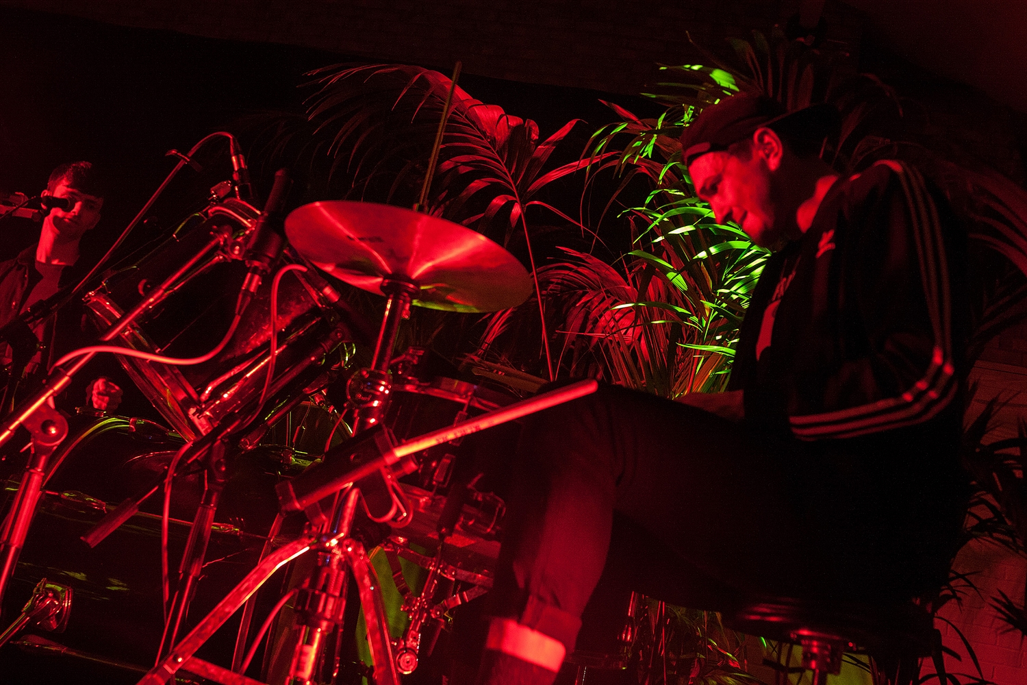 Palm trees, naked fans and sold out shows: Glass Animals’ peanut butter tribe