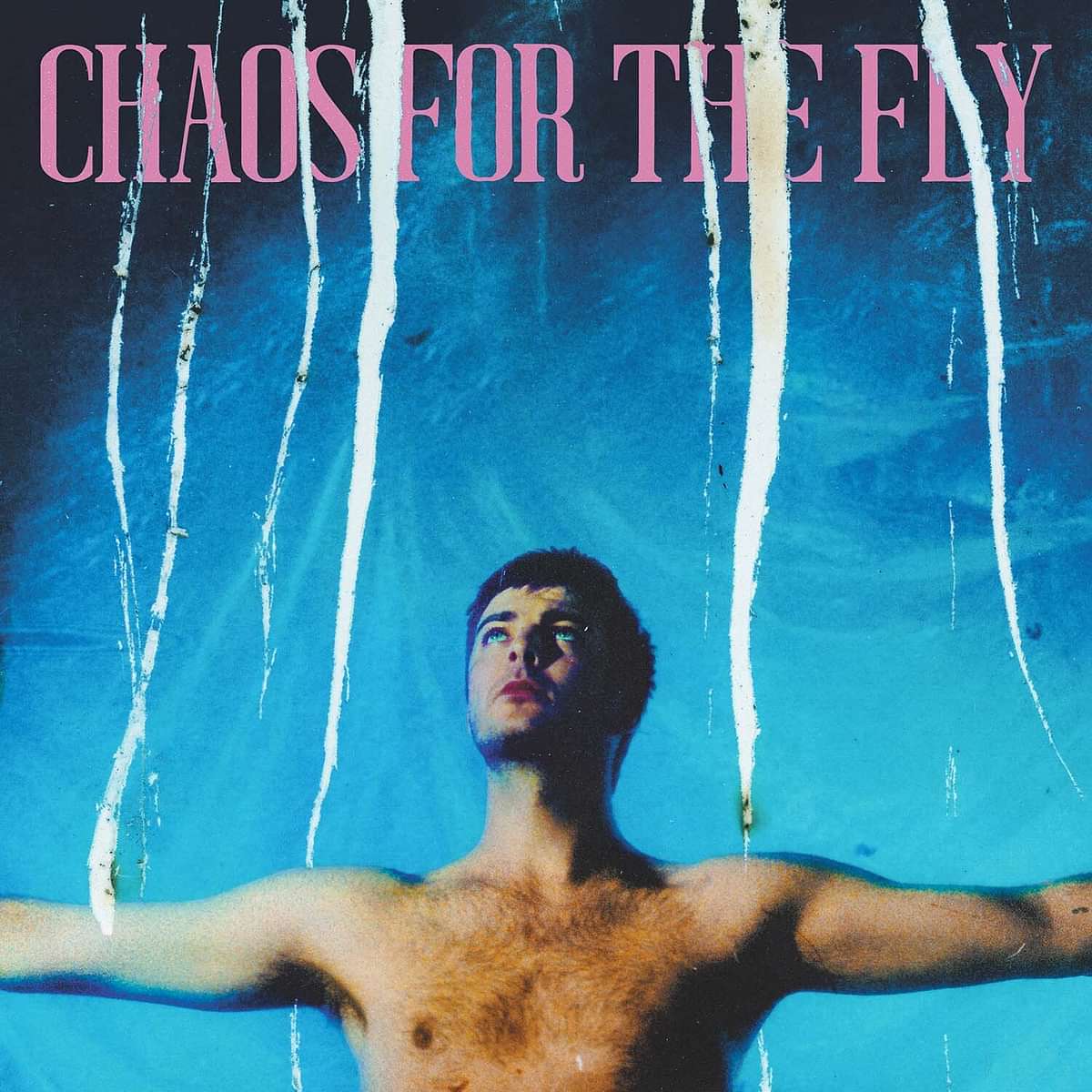 Grian Chatten - Chaos For The Fly - Vimarsana News