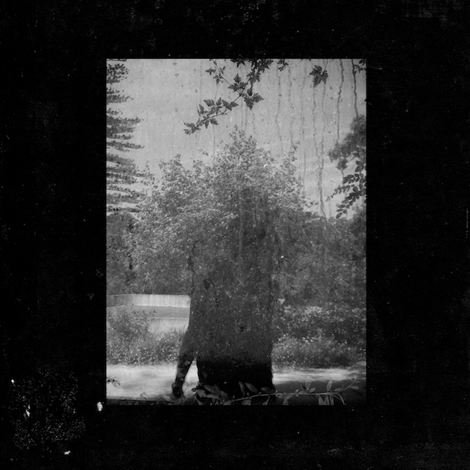 Grouper announces new album, 'Ruins'