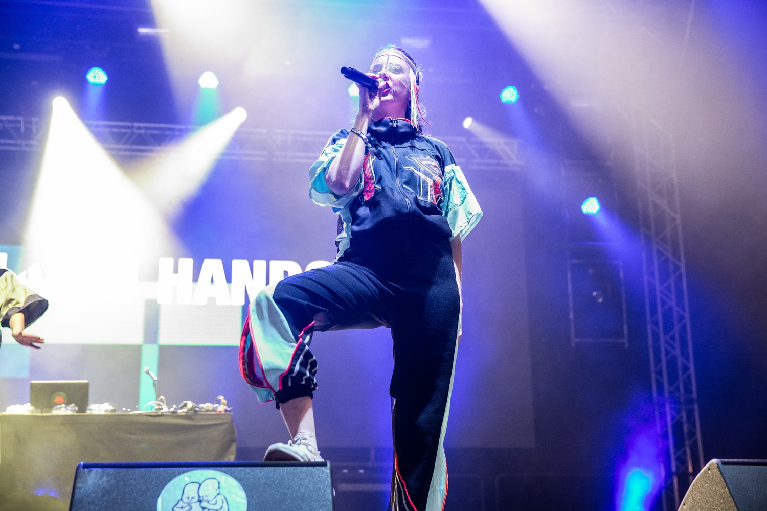 Liam Gallagher brings the big hits for the last day of Pohoda Festival 2019