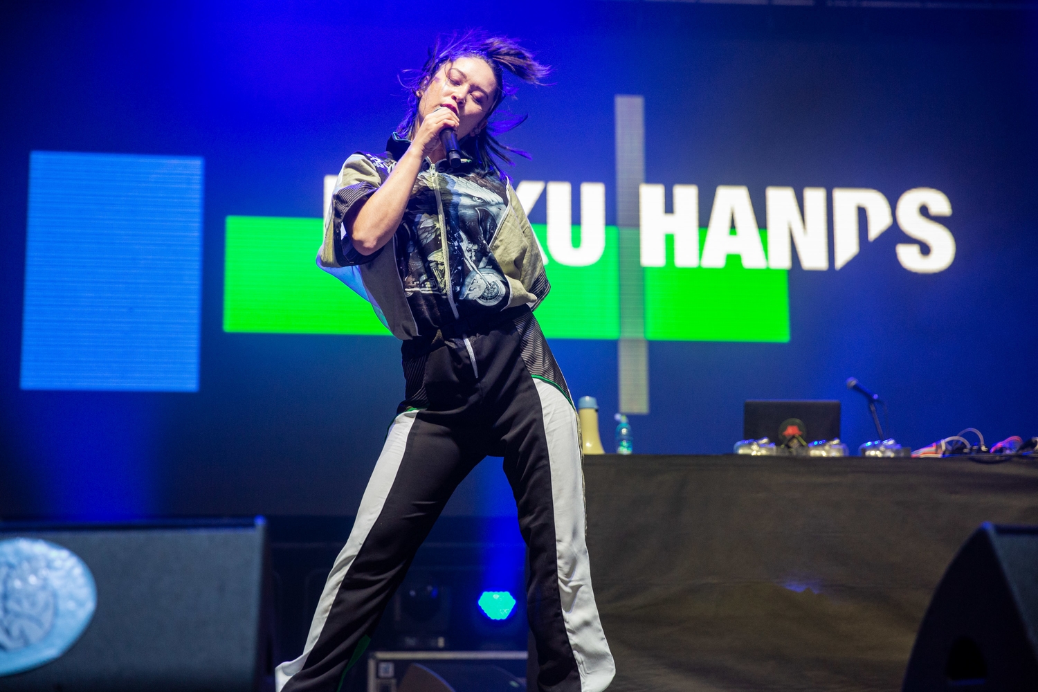 Liam Gallagher brings the big hits for the last day of Pohoda Festival 2019