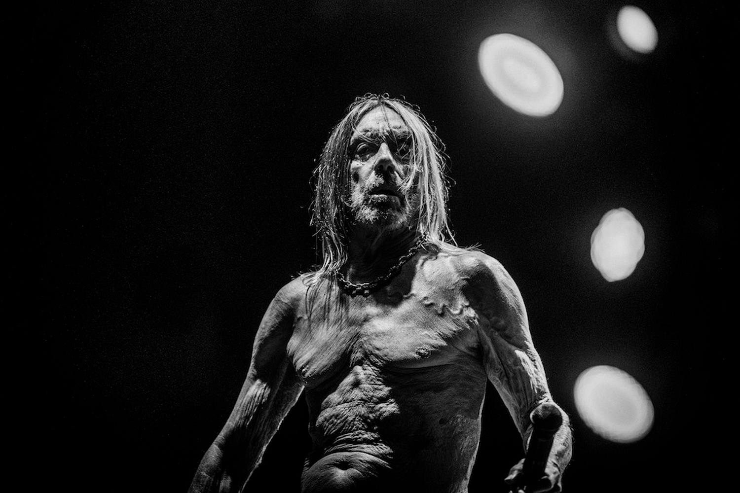 Iggy Pop unleashes new single ‘Frenzy’