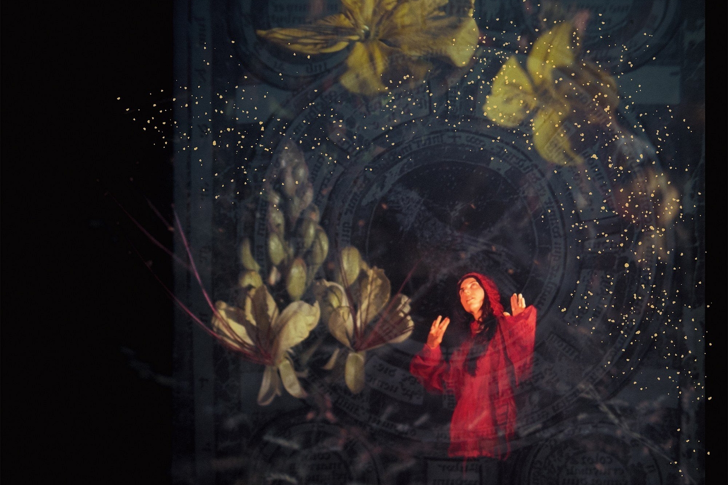 米、欧2LP Julia Holter Aviary WIGLP417 Domino /00660 Julia Holter - Aviary review • DIY Magazine