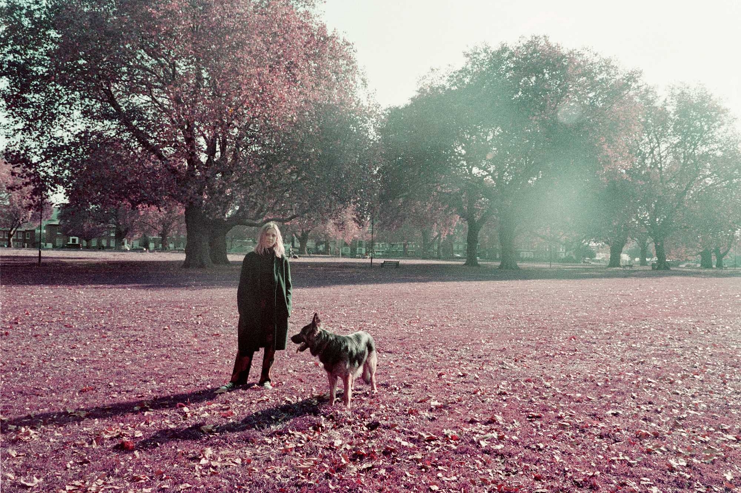 Float on: The Japanese House