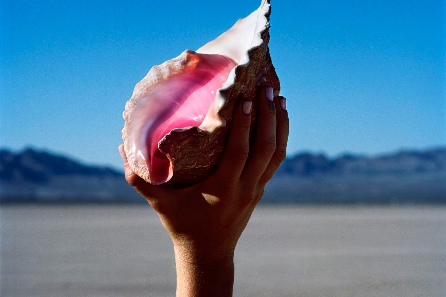 The Killers - Wonderful Wonderful
