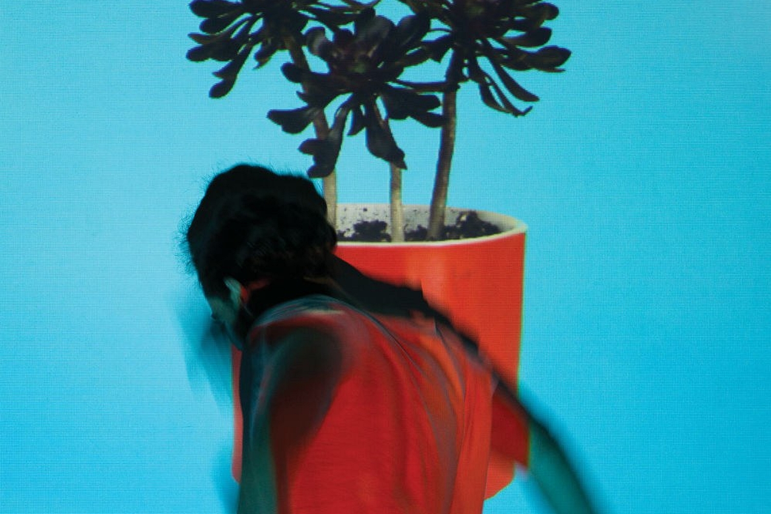 Local Natives - Sunlit Youth