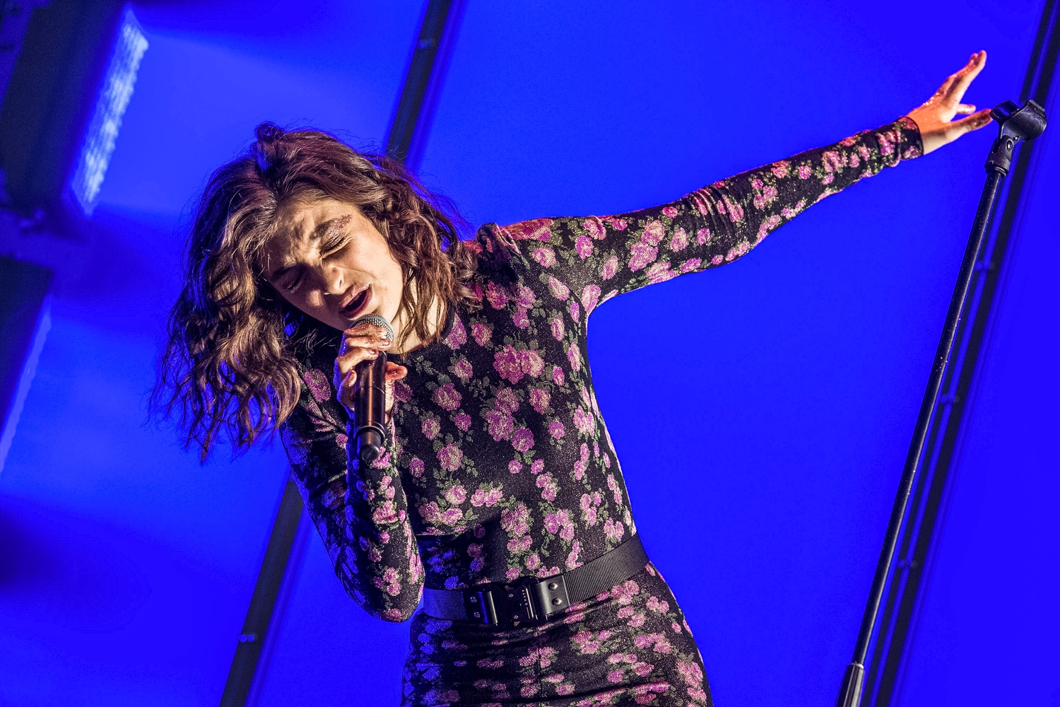 Lorde teases new music with ‘Solar Power’ artwork