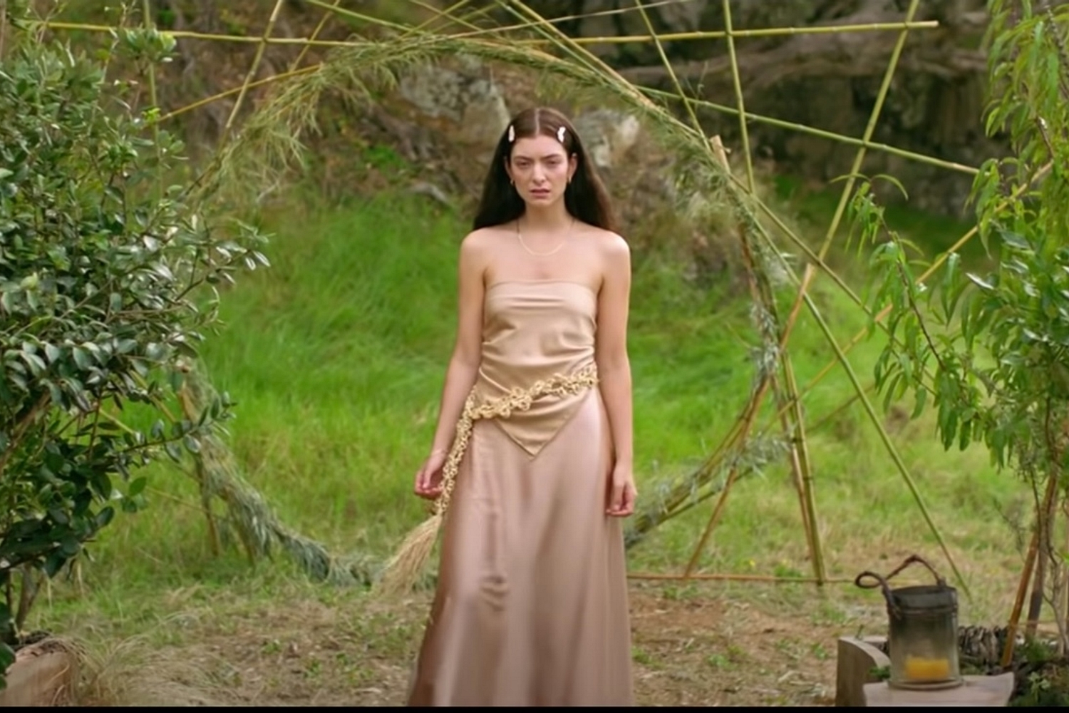 Lorde shares ‘Fallen Fruit’ video