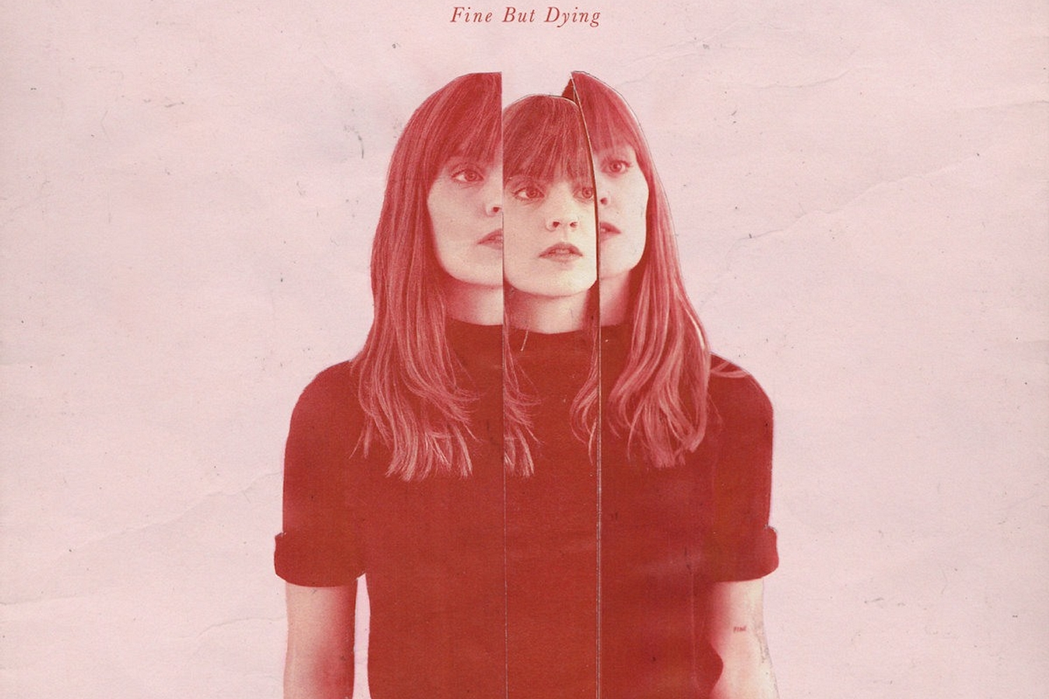 Liza Anne - Fine But Dying