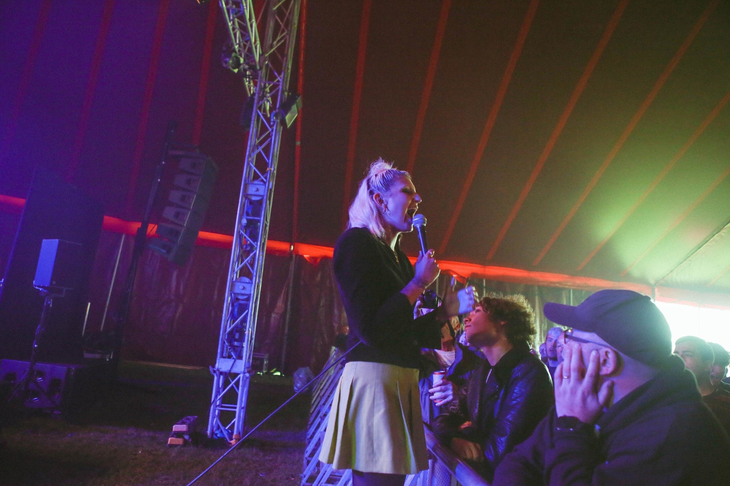 Electric Fields 2018
