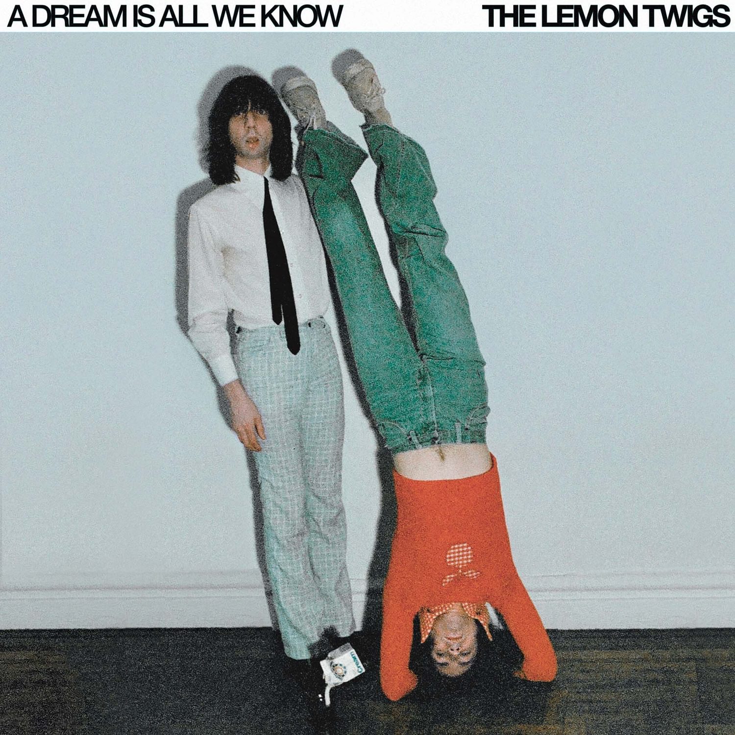 <p><strong>The Lemon Twigs</strong> - A Dream Is All We Know</p>