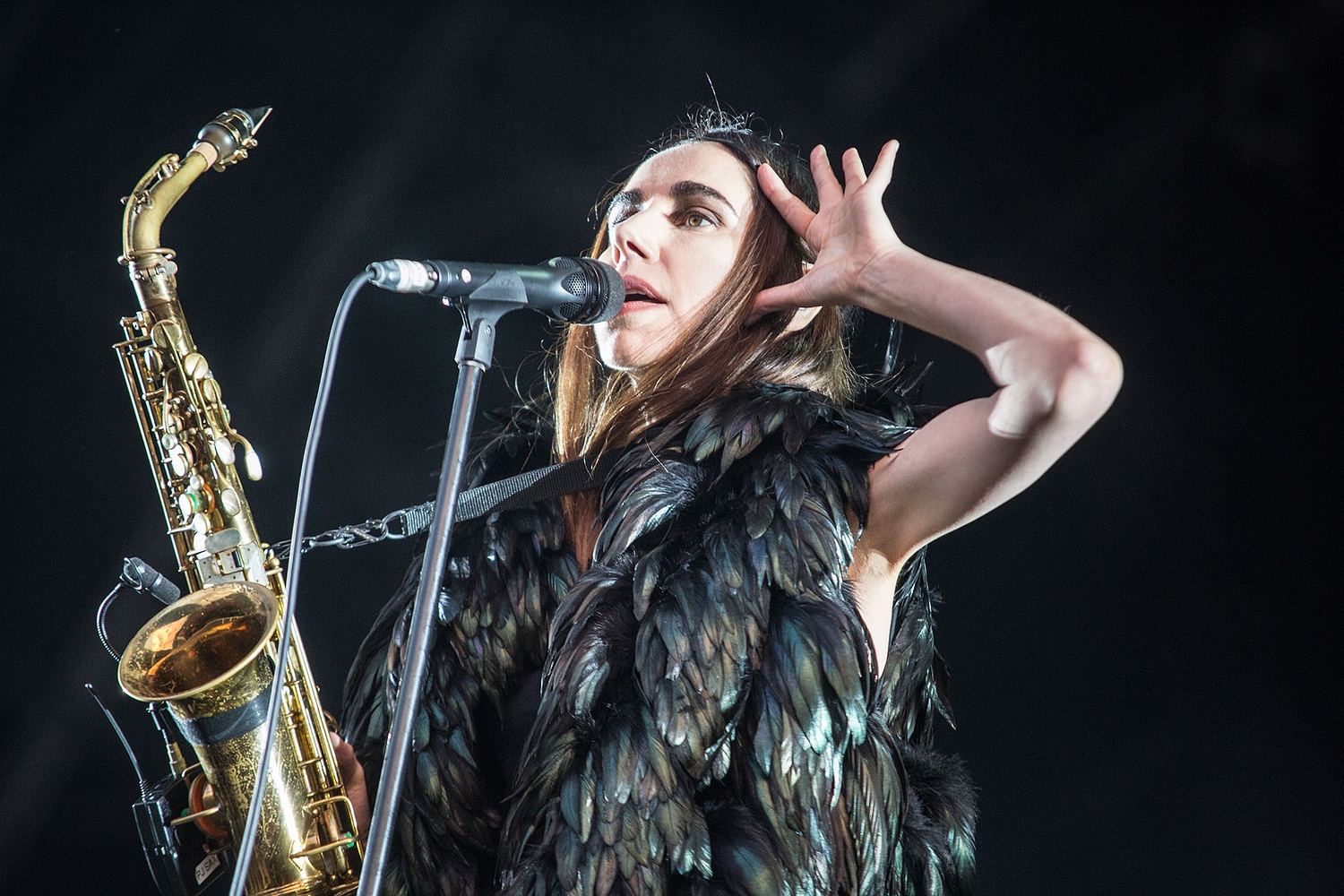 PJ Harvey, Future Islands and Ryan Adams are headlining Green Man 2017