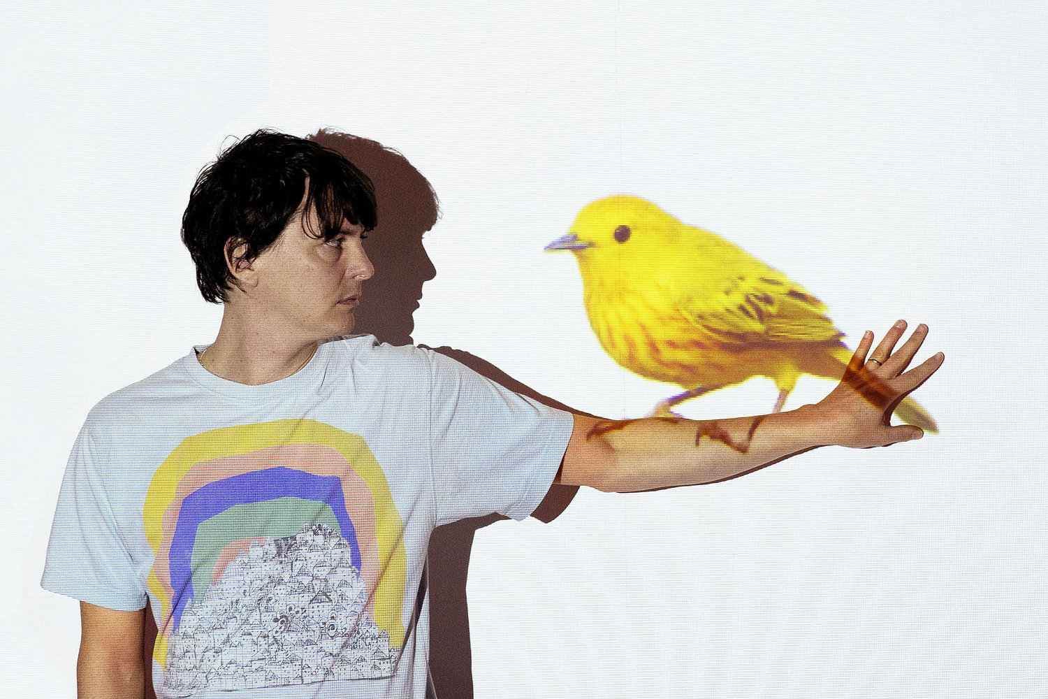 ​Panda Bear: Who let the dogs out?