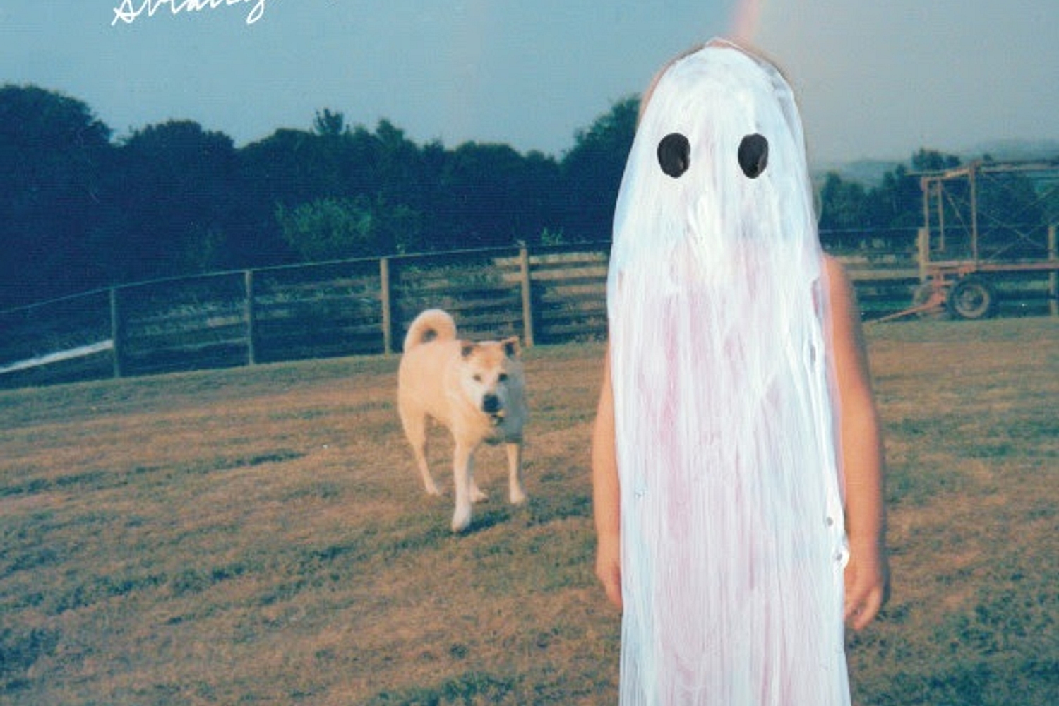Phoebe Bridgers - Stranger in the Alps