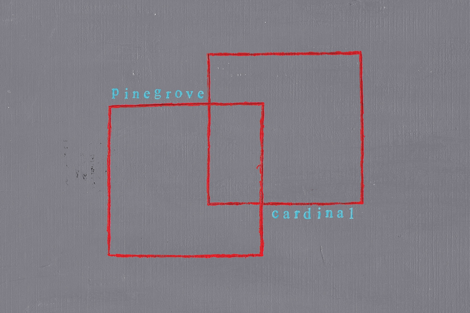 Pinegrove - Cardinal