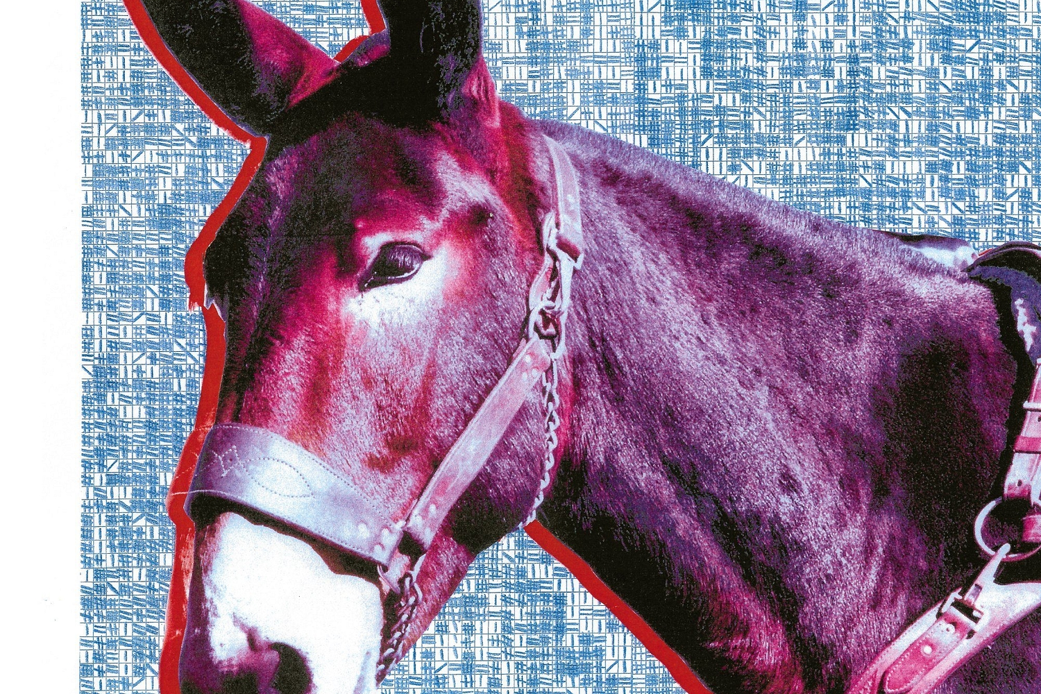 Protomartyr - Ultimate Success Today