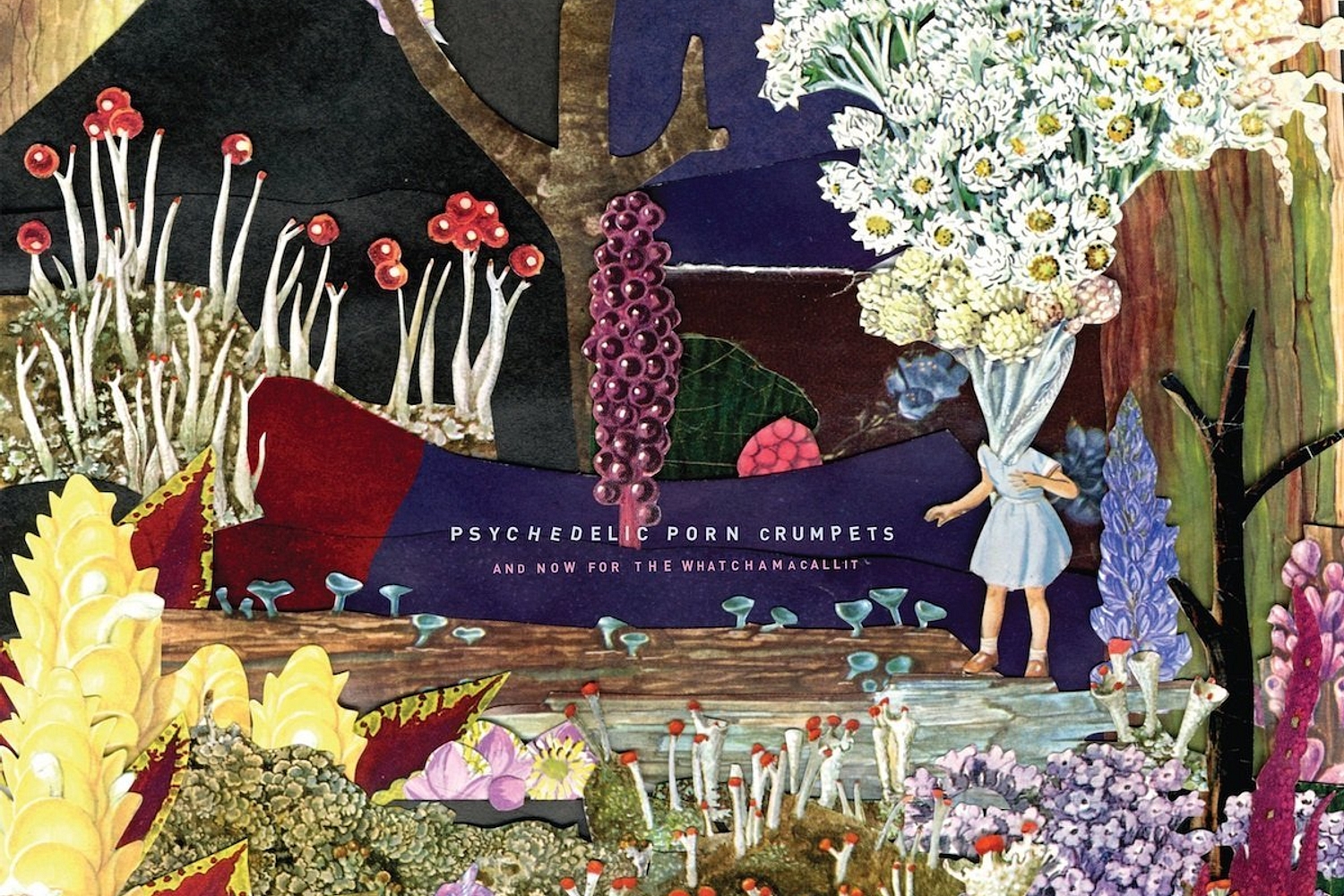 Psychedelic Porn Crumpets - And Now For The Whatchamacallit review • DIY  Magazine