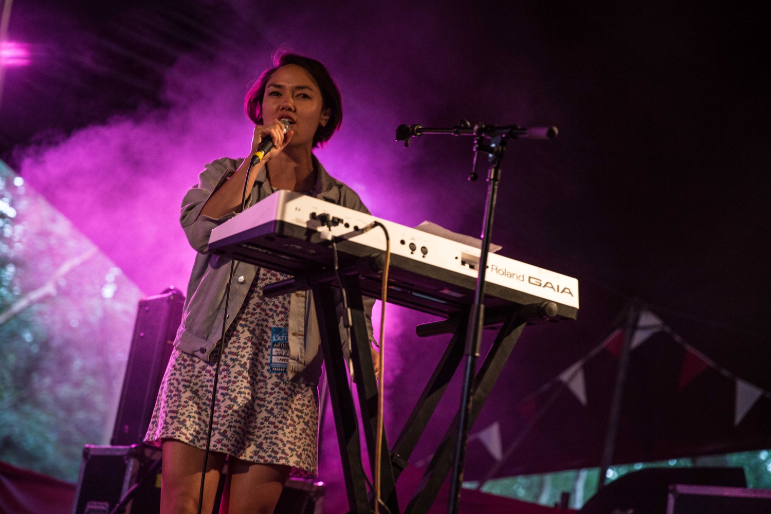 Latitude 2015: Friday in photos
