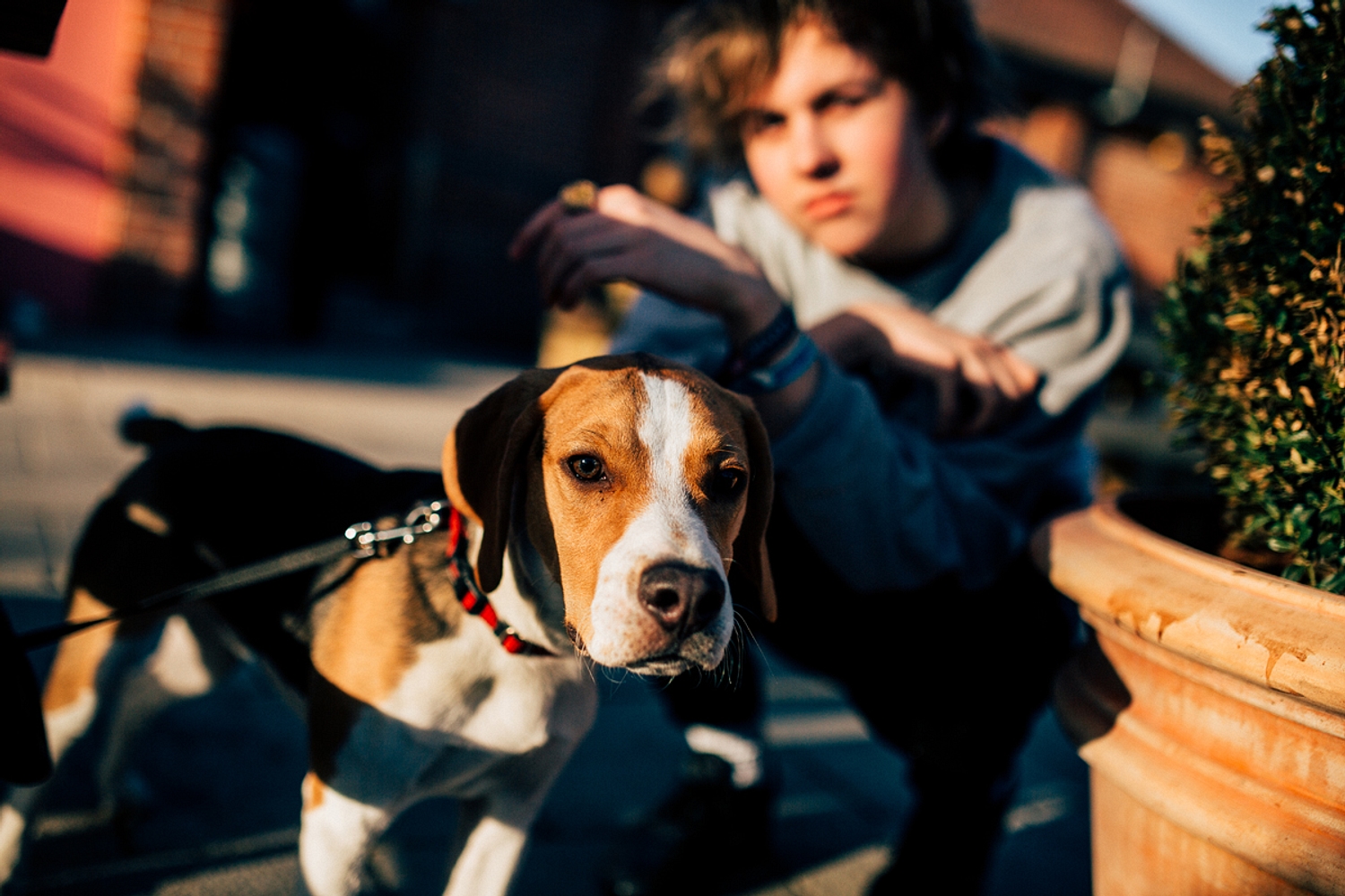 Bestival 2015 adds Rat Boy, Eagulls, LA Priest & more