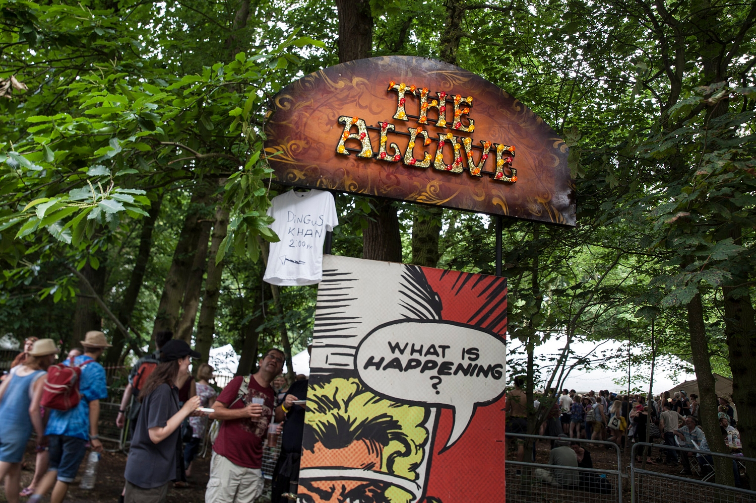 Latitude 2015 announces new names, including DIY Presents: The Alcove Stage