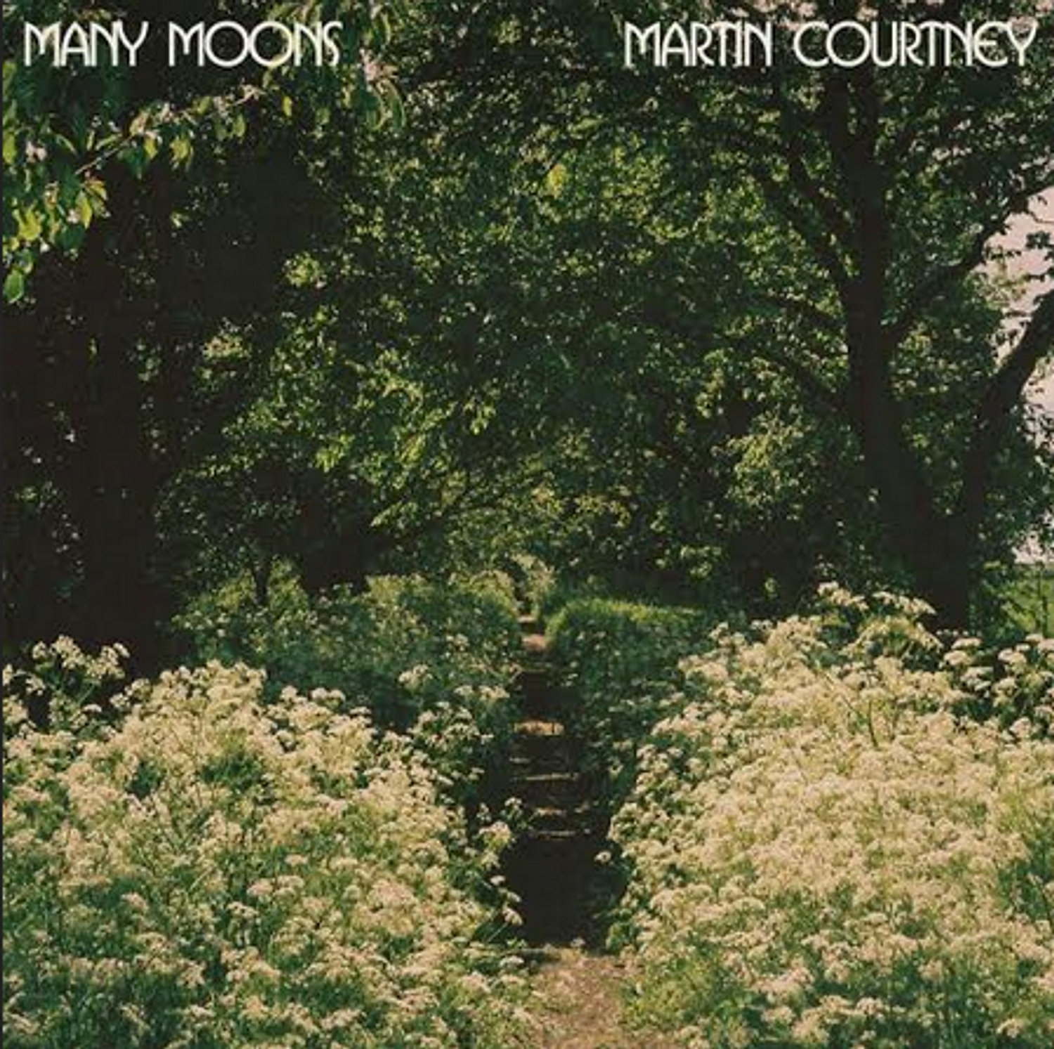 Real Estate’s Martin Courtney announces ‘Many Moons’ album, airs ‘Northern Highway’ video
