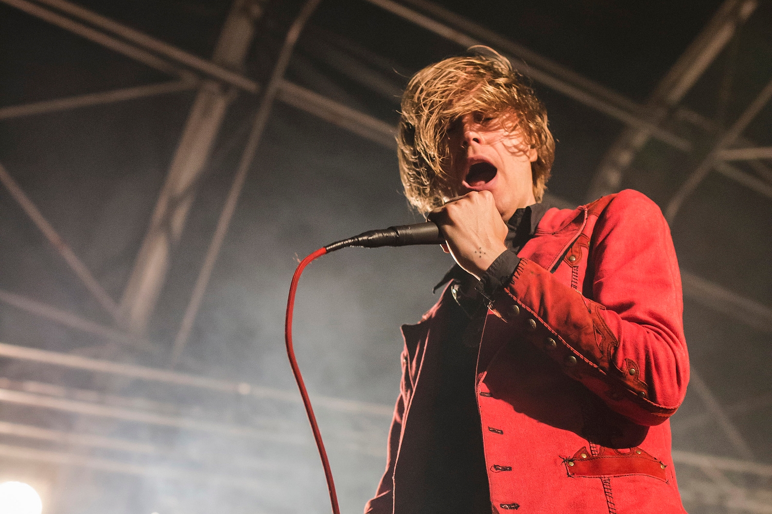 2000trees 2016