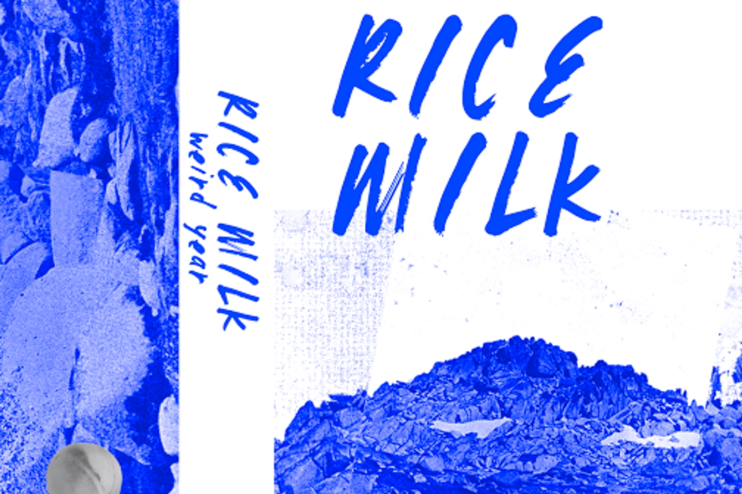 Newcastle’s Rice Milk share new track ‘take my weight’