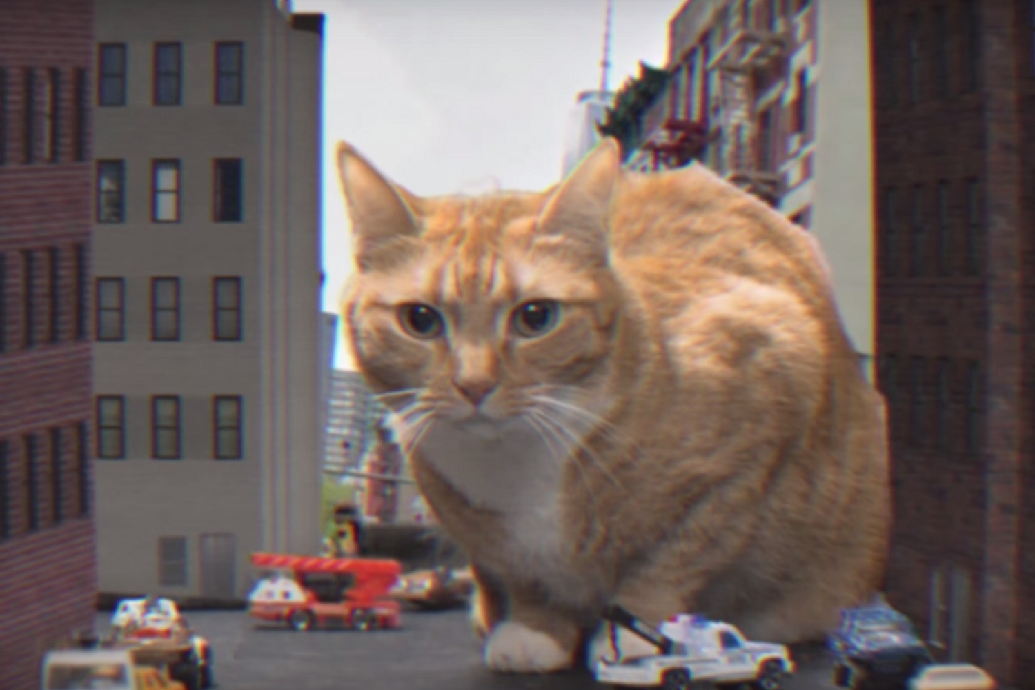 Cats take over the world in Run the Jewels’ ‘Oh My Darling (Don’t Meow’) video