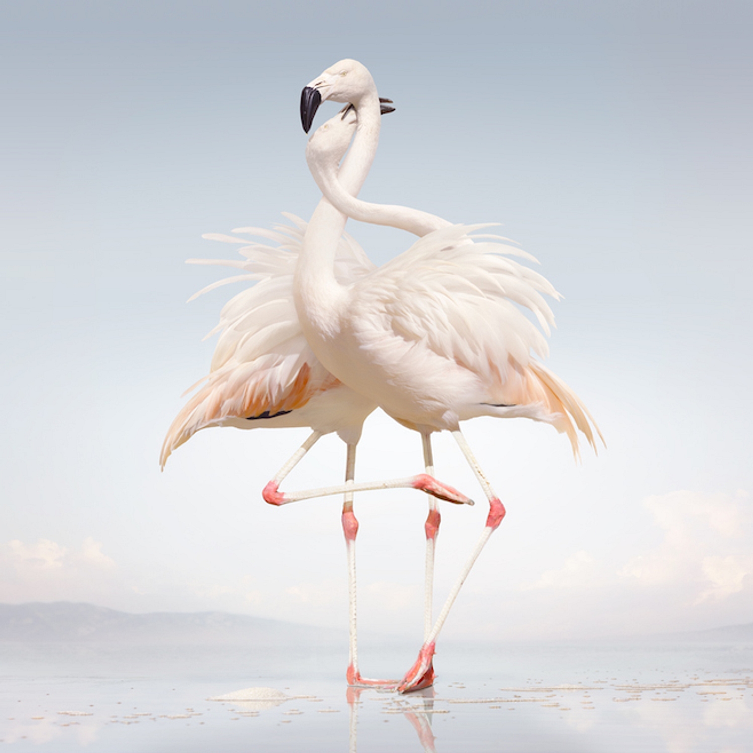 Rustie previews new album 'Green Language' with 'Raptor'