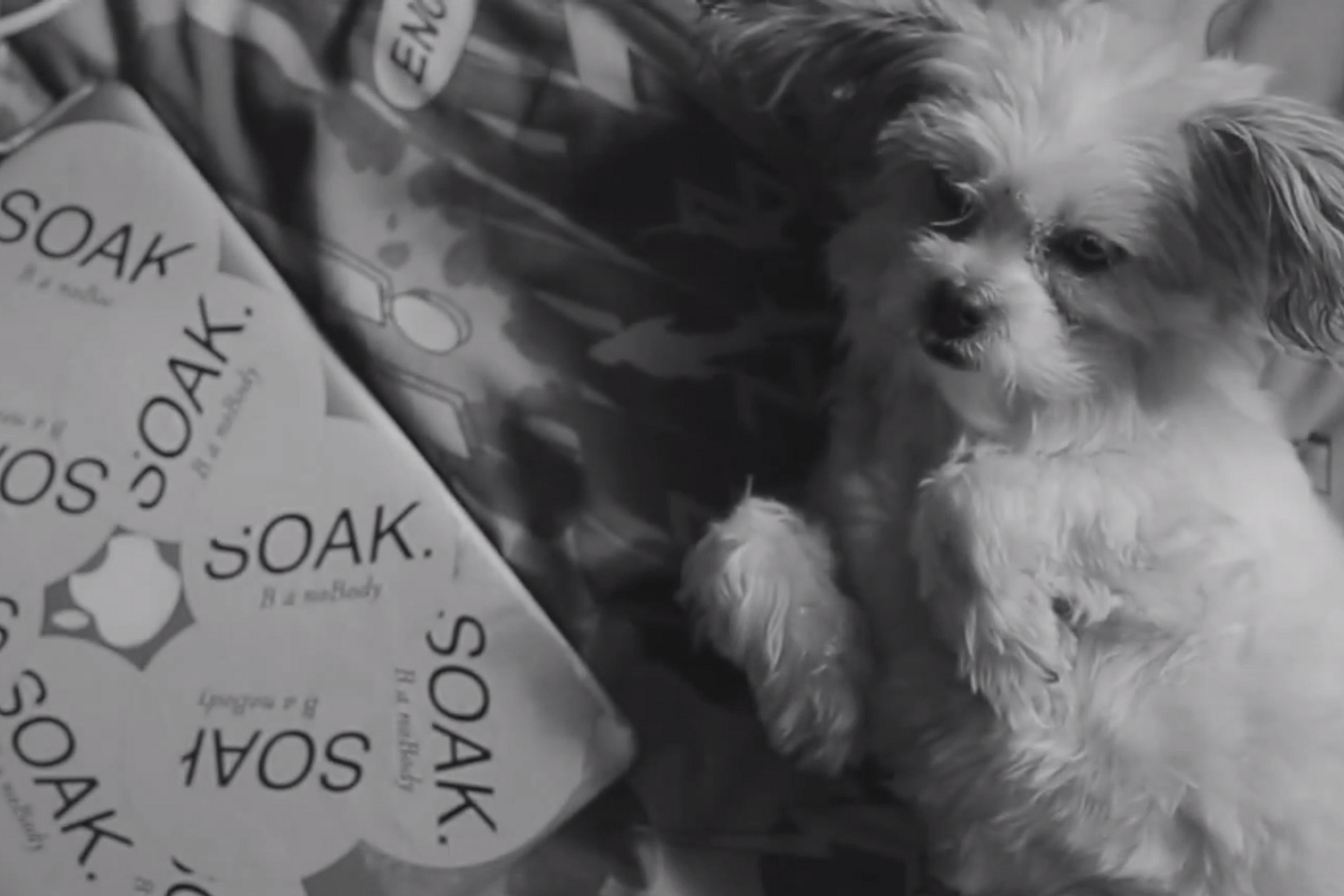 SOAK’s new ‘Blud’ video has puppies, kart-racing and skateboarding