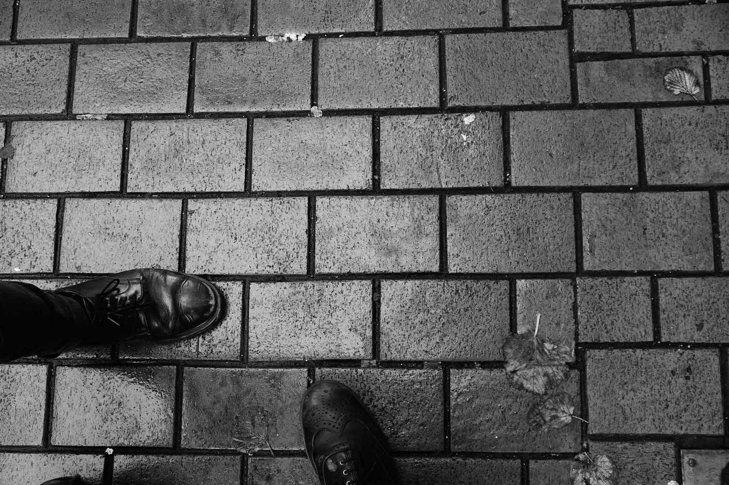 Photo Diary: Shy Nature