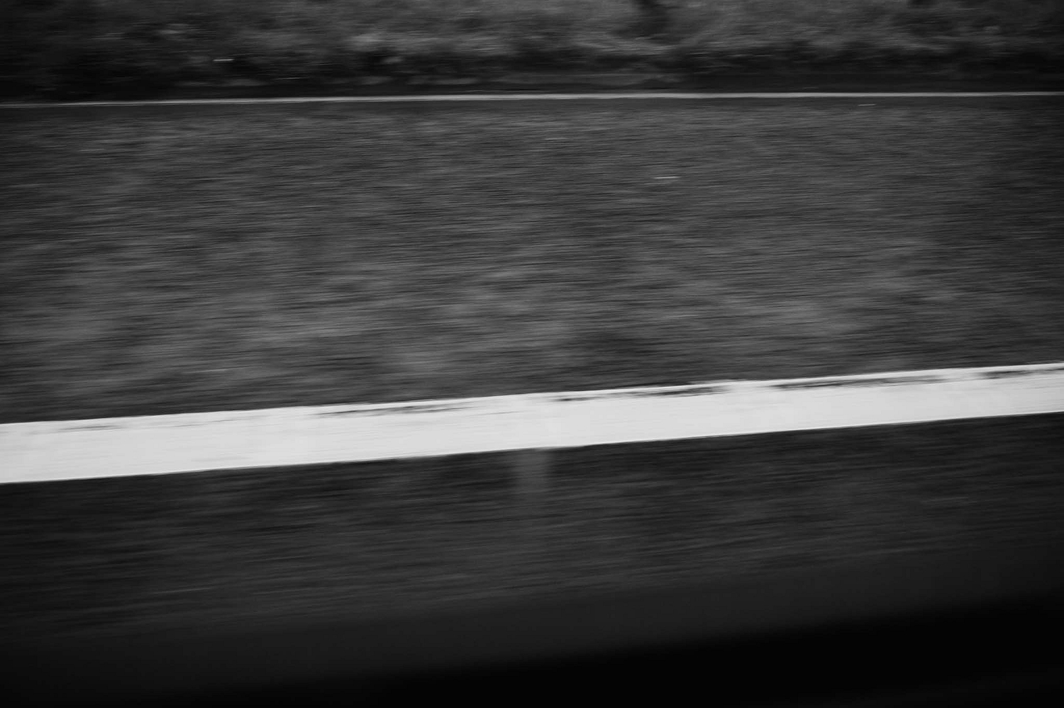 Photo Diary: Shy Nature