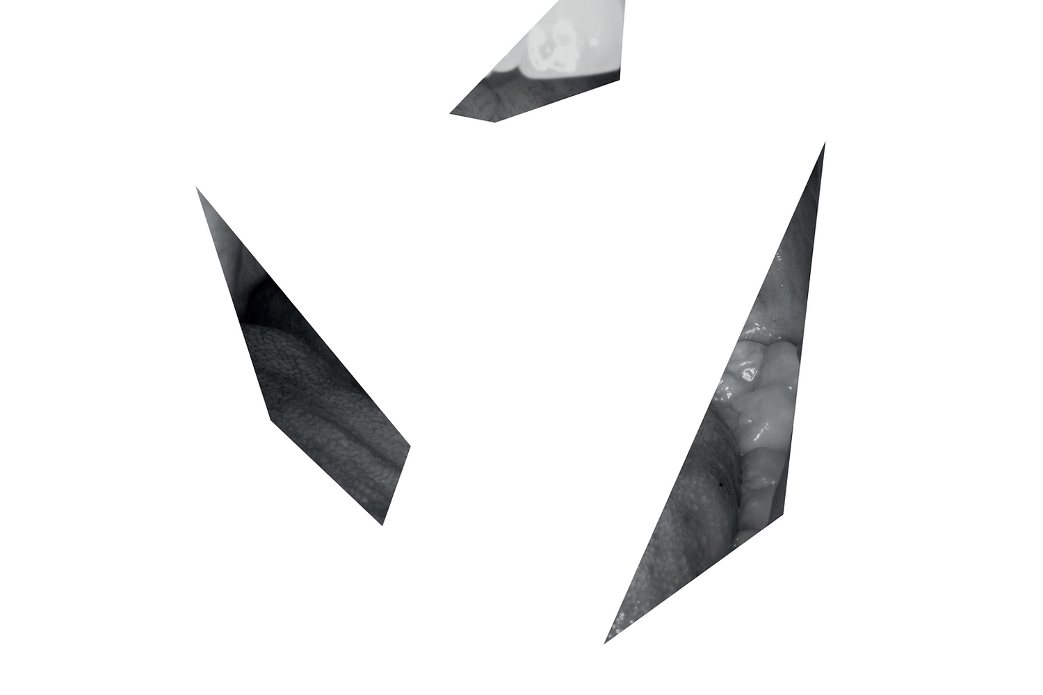 Shards - Find Sound